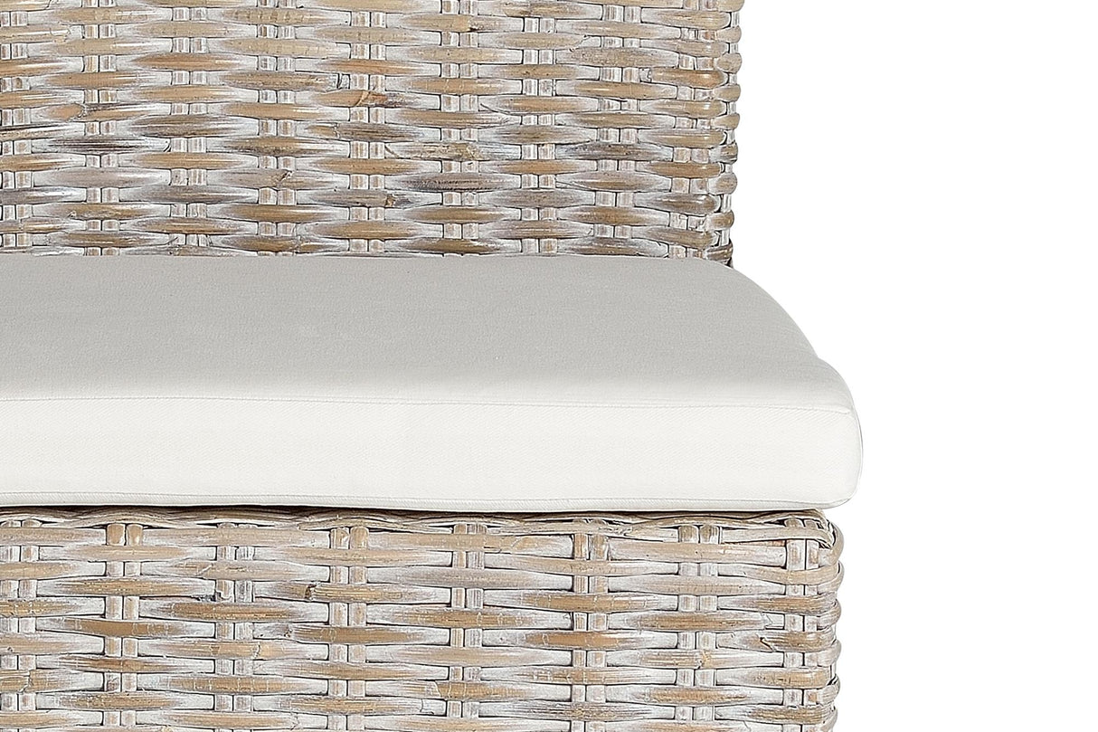 Set 2 Scaune din Ratan cu Perne Incluse Giner y Colomer