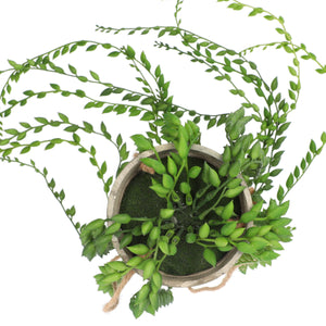 Floare Artificiala Sencio in Ghiveci Verde 10x10x54 cm