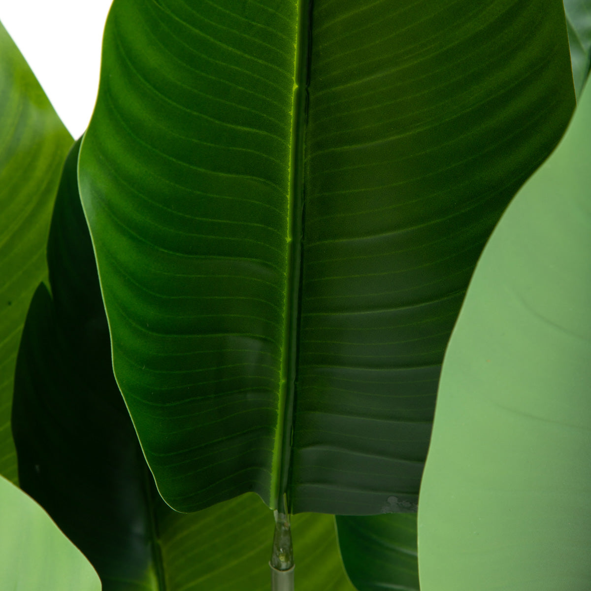 Tropical Zone Floare Artificiala Verde