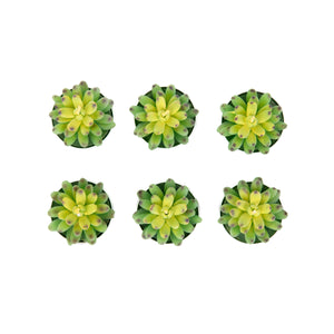 Set de 6 Lumanari Jade Verde 166 G